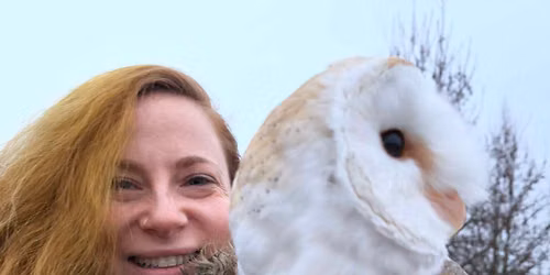 Corso Avvicinamento alla Falconeria a Padova il 16\/05\/26 per info 338\/271.87.40