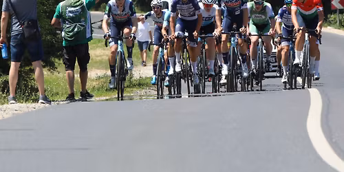III. Zirc GP