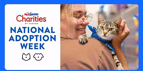 Cats and Kittens adoption event at PetSmart, 3161 Greenbank Road, Barrhaven, (Ottawa)