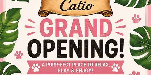 Cocoa Kitties' Catio GRAND OPENING