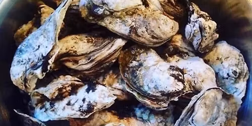 Warwick 7th annual Oyster Roast