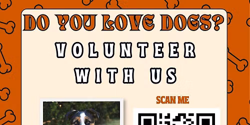 Dog Rescue: Ace of Hearts Volunteer Opportunities
