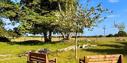 Millie Goes Wild @ Spring