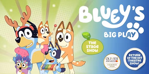 Bluey's Big Play