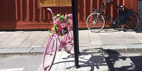 Nytorget med omnejd - en vandring i Centrala Katarina