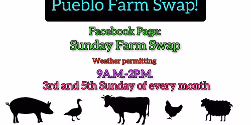 Pueblo Farm Swap! 