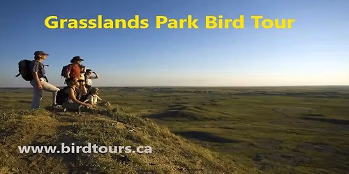 Grasslands National Park Birding Tour