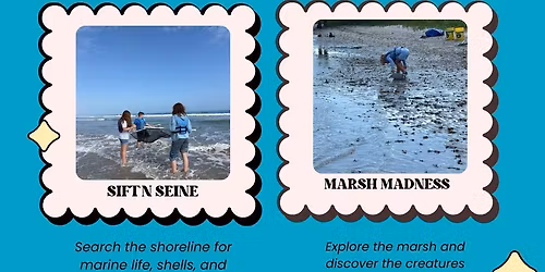 Sift & Seine Family Adventures