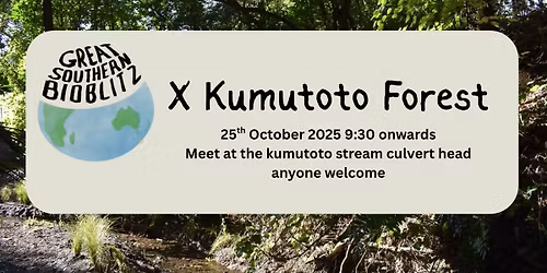 Great Southern Bioblitz - Kumutoto forest.