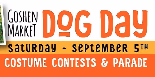 Dog Days!
