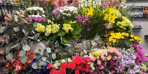 \ud83d\udc90 PETALS, POSES & PAMPERING\ud83d\udc90