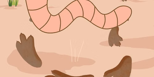 WORM RACE