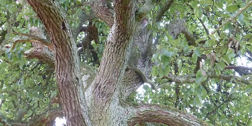 Vielfaltswanderung bei Lehrberg