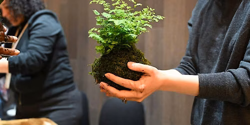 Get Wrapped Up in Green: Kokedama-Making Workshop