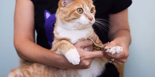 St. Paul\/Highland Park Feline Rescue Cat Claw Clipping Clinic