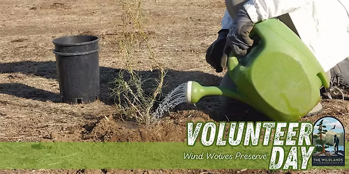Volunteer Day: Plant Watering -  Wind Wolves Preserve