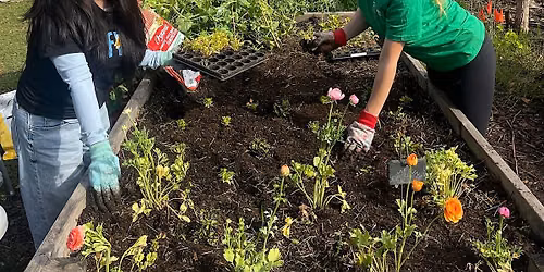 24th Street Community Garden Day March 2027