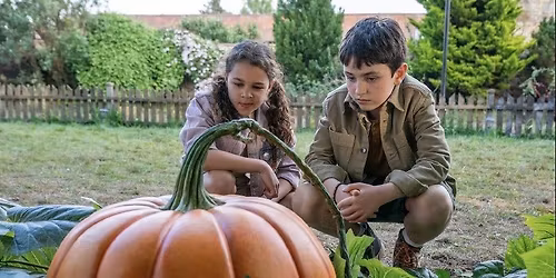 Relaxed Screening Golspie - Grow