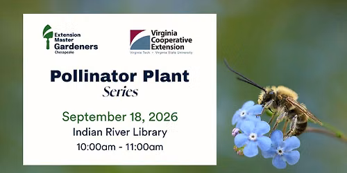 Pollinator Plant Series 2026