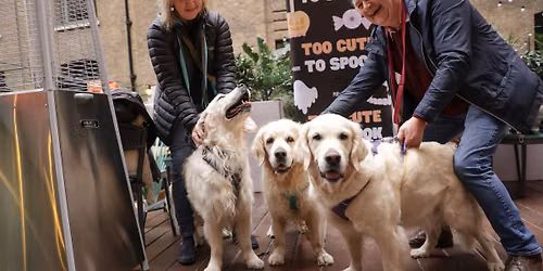 GOLDEN RETRIEVER CAFE HALLOWEEN - OXFORD