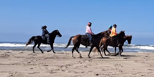 Monthly Equestriennes of Mason County Meeting