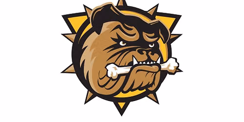 Brantford Bulldogs vs. Niagara IceDogs