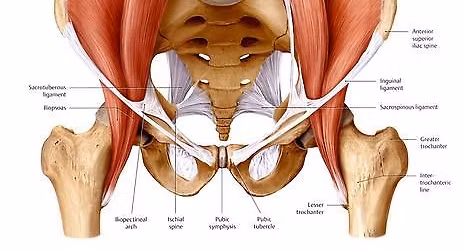 Un-Grip Your Hips: An Interactive Hip Opening Yoga Class