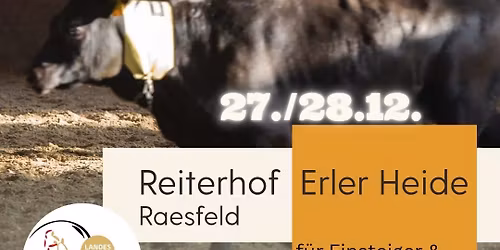 Rindertraining mit Stefan Baumgartner