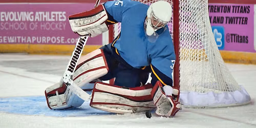 Bloomington Bison at Toledo Walleye