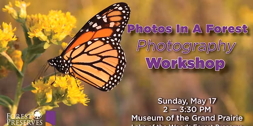 Photos in a Forest: Photography Workshop