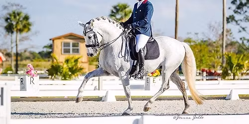 Dressage Clinic with Luis Reteguiz-Denizard