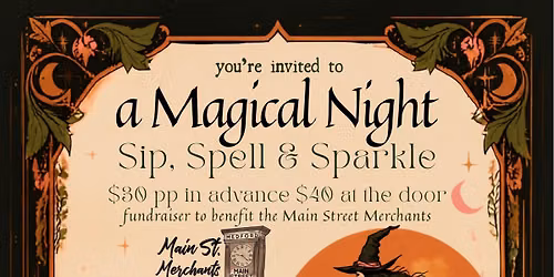 A Magical Night \ud83e\ude84 A Practical Magic Fundraiser