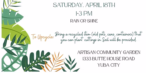 Plant Swap, Share & Upcycle!