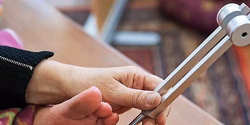 CERTIFICACION: DIAPASONES PARA SANAR