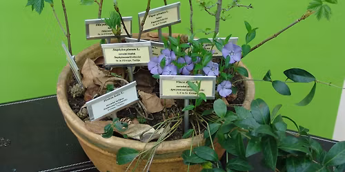 BOL\u0160JI IN USTVARJALNI SEJEM