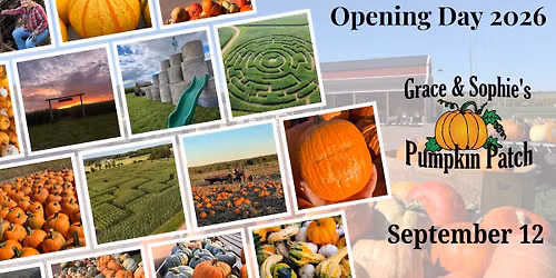 Corn Maze