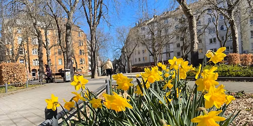 \ud83c\udfd9\ufe0f Die Mainzer Neustadt \u2013 Von historisch bis hip \u2728