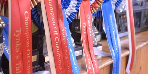 Tynka's Tales Dog Club Champion of Champions Dog Show & Companion Dog Show 