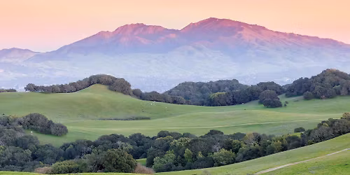 Superbloom Campout on Mount Diablo: World's Greatest Panorama