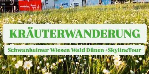Kr\u00e4uterwanderung Schwanheimer Wiesen,-Wald,-D\u00fcnen, Fahrt mit der Mainf\u00e4hre\/ Innenstadt 