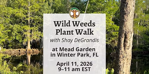 Wild Weeds Plant Walk at Mead Garden with Shay - April 11, 2026