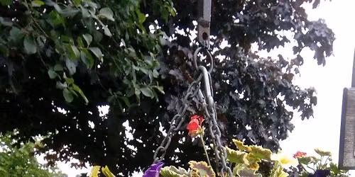 Highley In Bloom 2026 COMPETITION