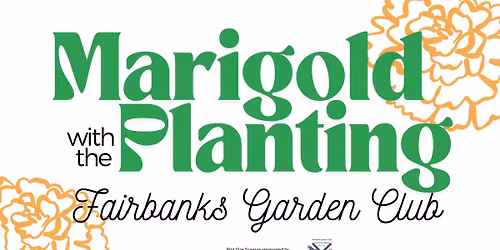 Marigold Planting With The Fairbanks Garden Club