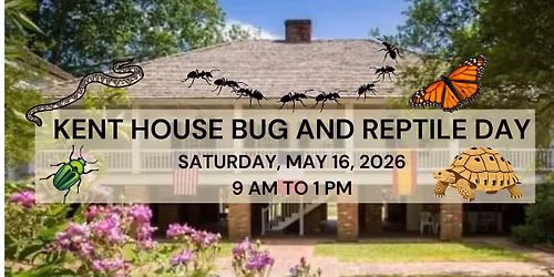 Kent House Bug and Reptile Day