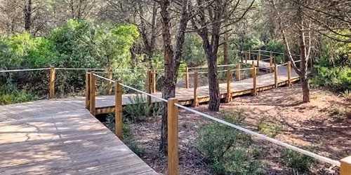 Caminhando entre Bosques e Areais da Mata dos Medos