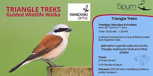 Triangle Treks: Guided Wildlife Walk at Spurn