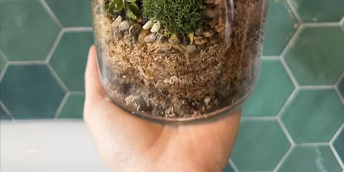 VENUS FLY TRAP TERRARIUM WORKSHOP