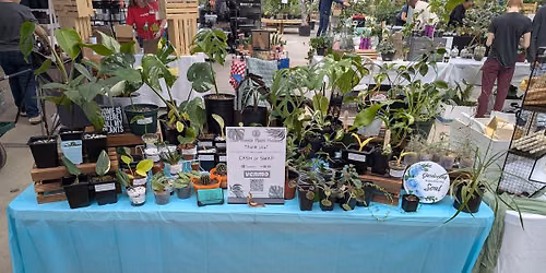 Warrenton Plant Swap @ Frozen Yogi!