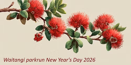 Waitangi parkrun New Year's Day 2026