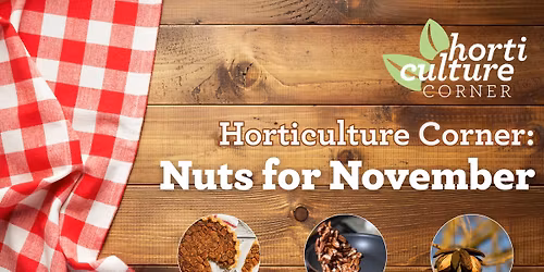 Horticulture Corner: Nuts for November